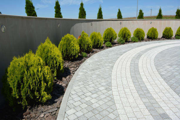 Best Custom Driveway Pavers  in De Motte, IN